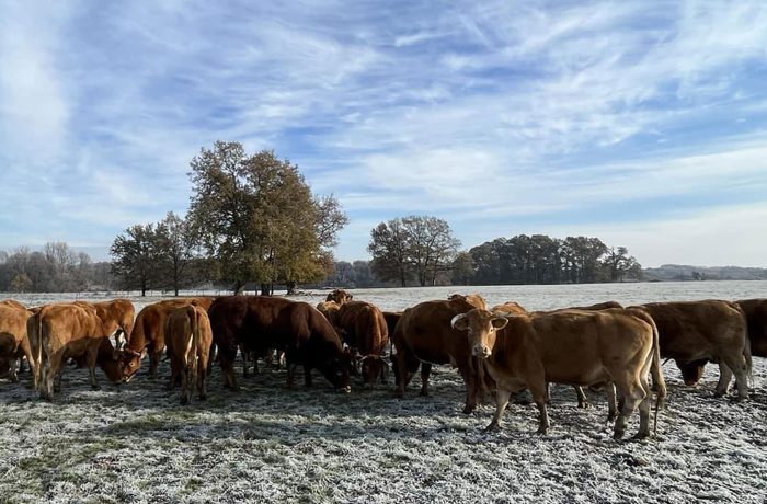 Ferme Metily